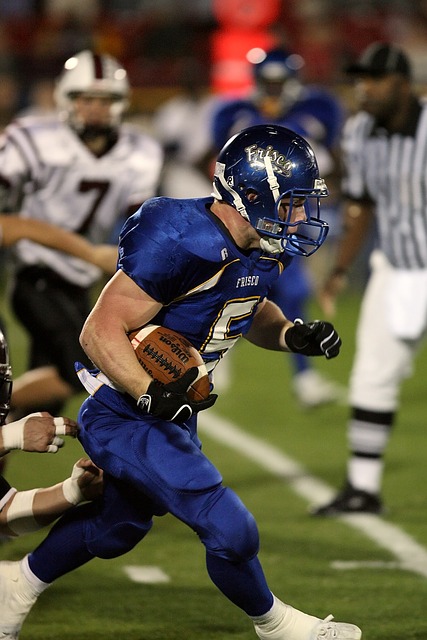 示了其成熟 示了其成熟