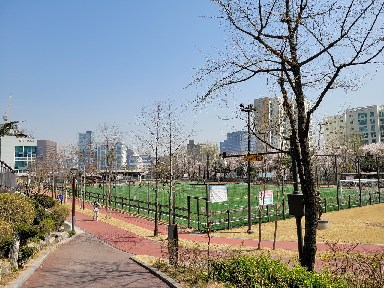 向我们展示