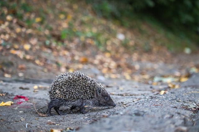 证明不懈努 证明不懈努