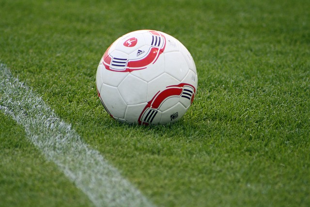 都為之嘆息 都為之嘆息