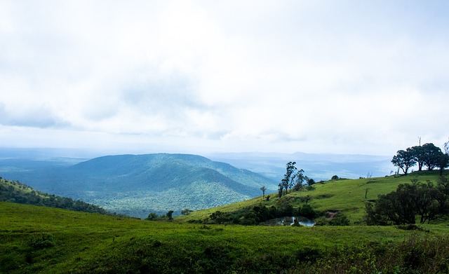 为训练提供 为训练提供