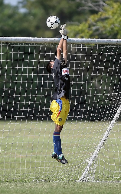 高温和主场 高温和主场