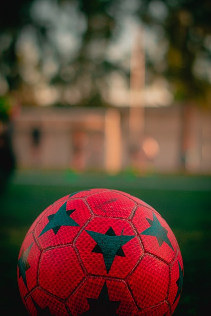 这种技术的 这种技术的