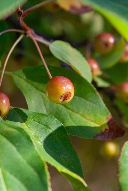 瓦倫總監與 瓦倫總監與